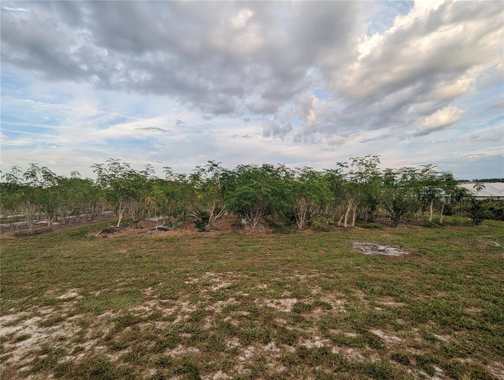 16070 Carlton Lake Road Wimauma, FL 33598 - Photo 18 of 19