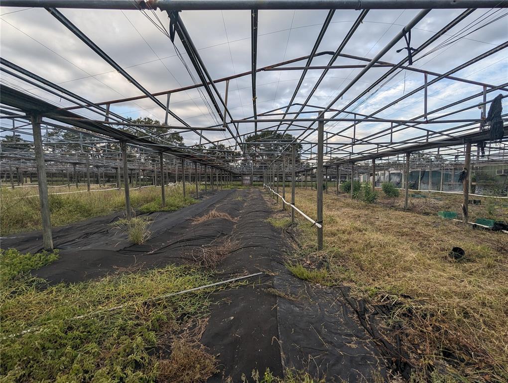 16070 Carlton Lake Road Wimauma, FL 33598 - Photo 5 of 19