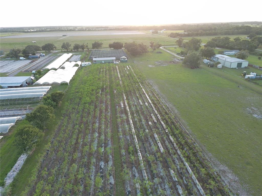 16070 Carlton Lake Road Wimauma, FL 33598 - Photo 6 of 19