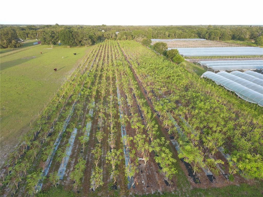 16070 Carlton Lake Road Wimauma, FL 33598 - Photo 7 of 19