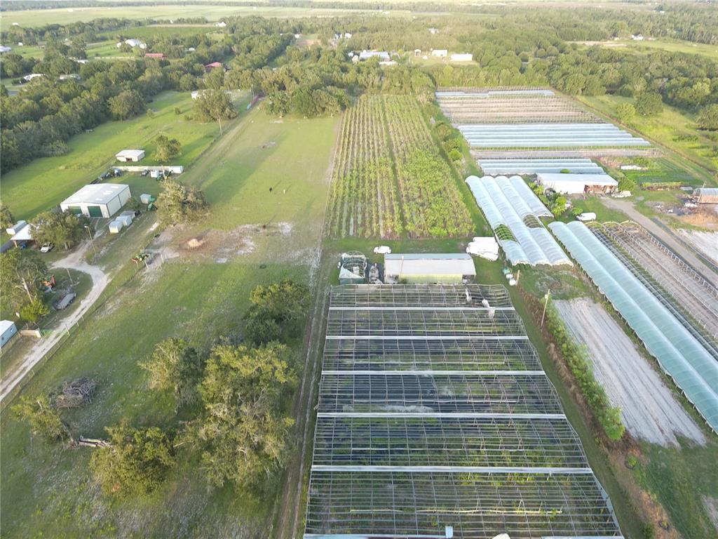 16070 Carlton Lake Road Wimauma, FL 33598 - Photo 8 of 19