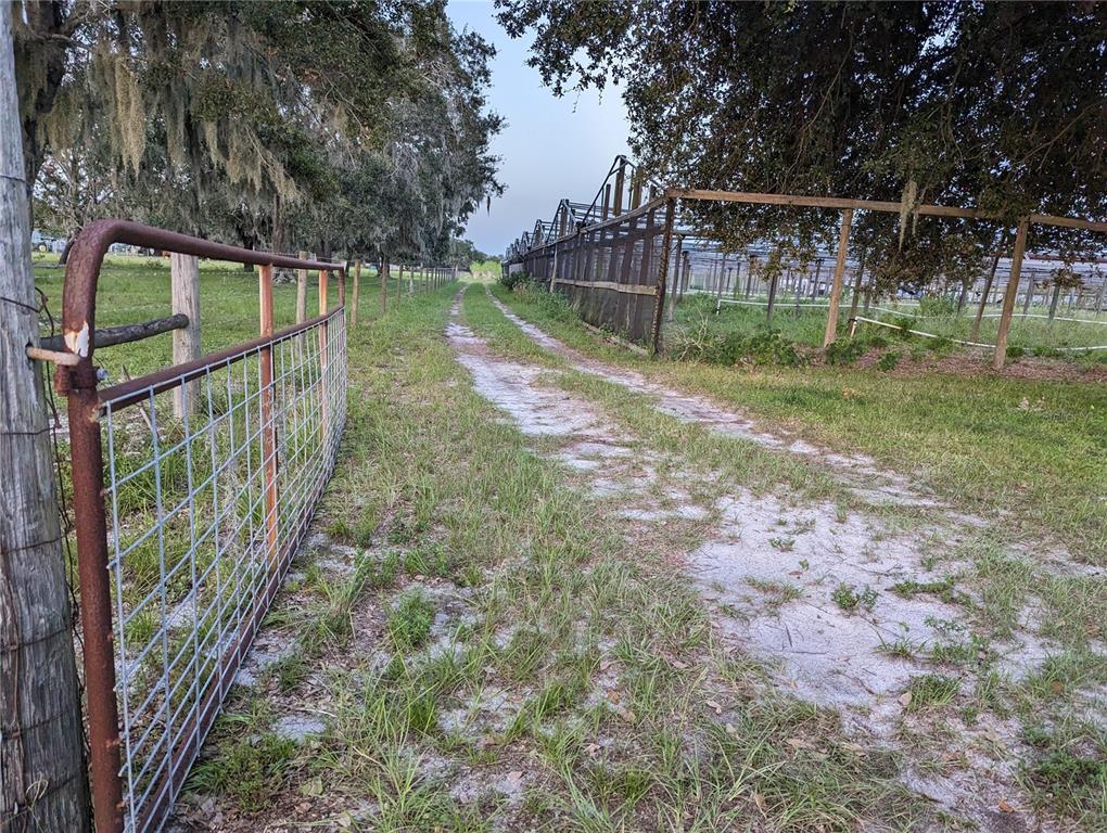 16070 Carlton Lake Road Wimauma, FL 33598 - Photo 10 of 19