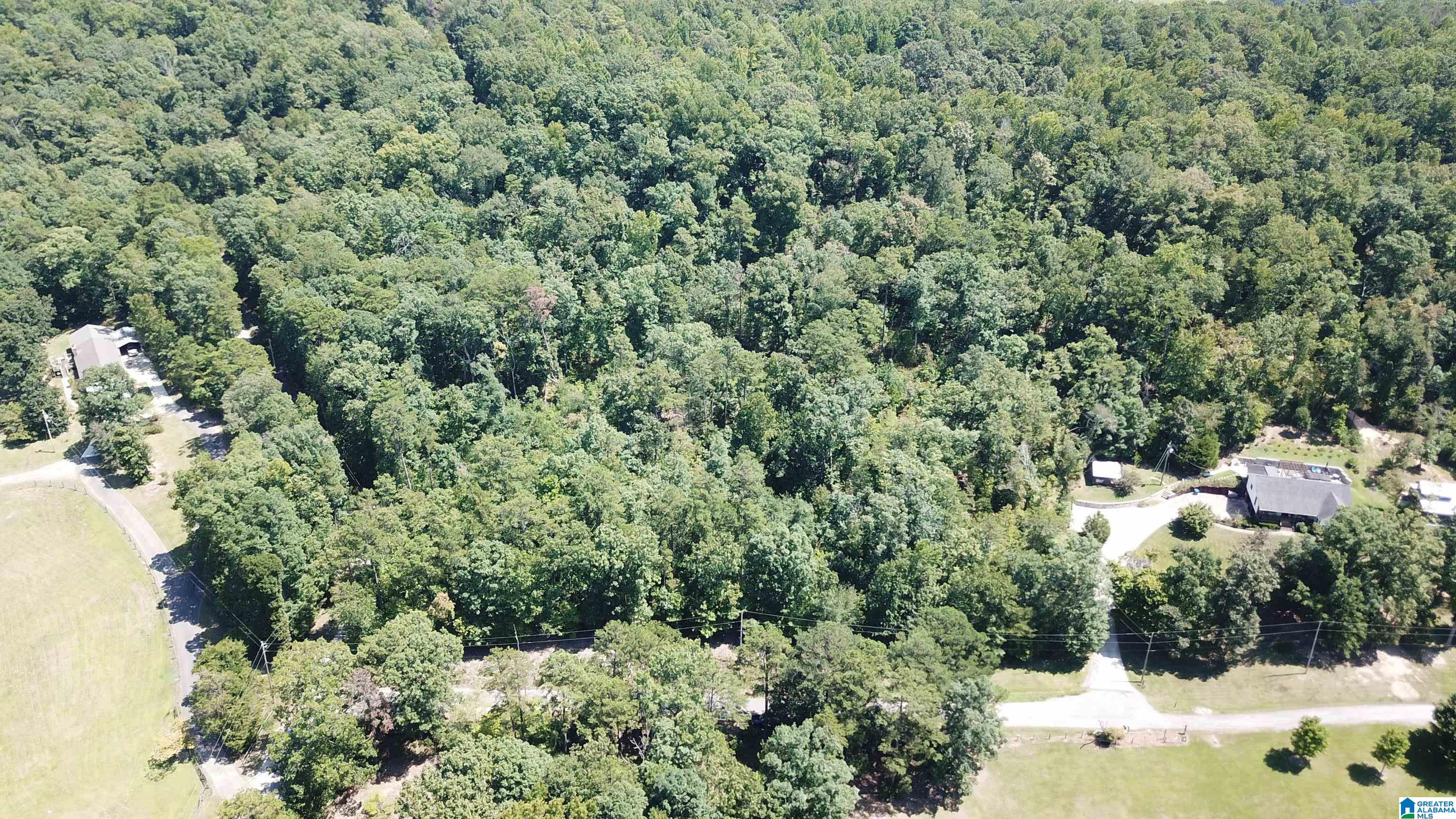 0 Taylor Road, Unit 10 2 Remlap, AL 35133 - Photo 14 of 25