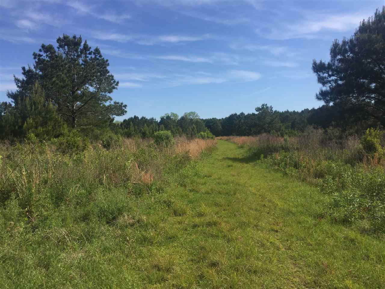 14300 Marion Weeks Lane Foley, AL 36535 - Photo 3 of 5 Land