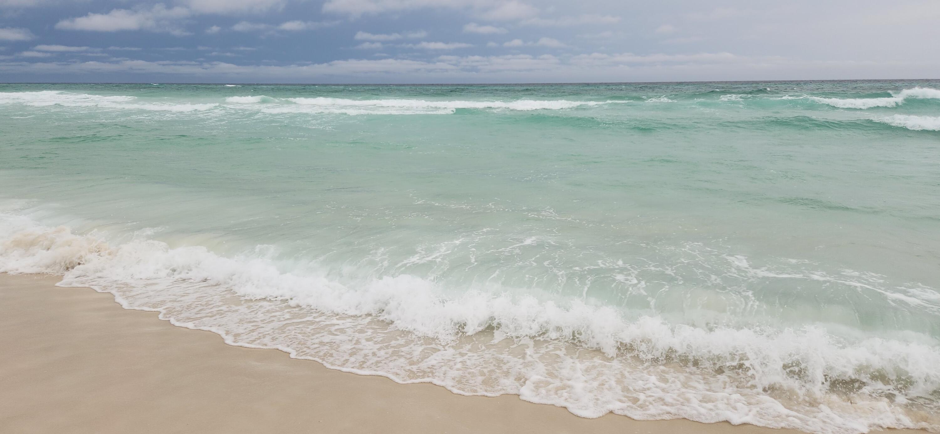 34 Heron's Watch Way, Unit 2304 Santa Rosa Beach, FL 32459 - Photo 43 of 56 a view of a small yard