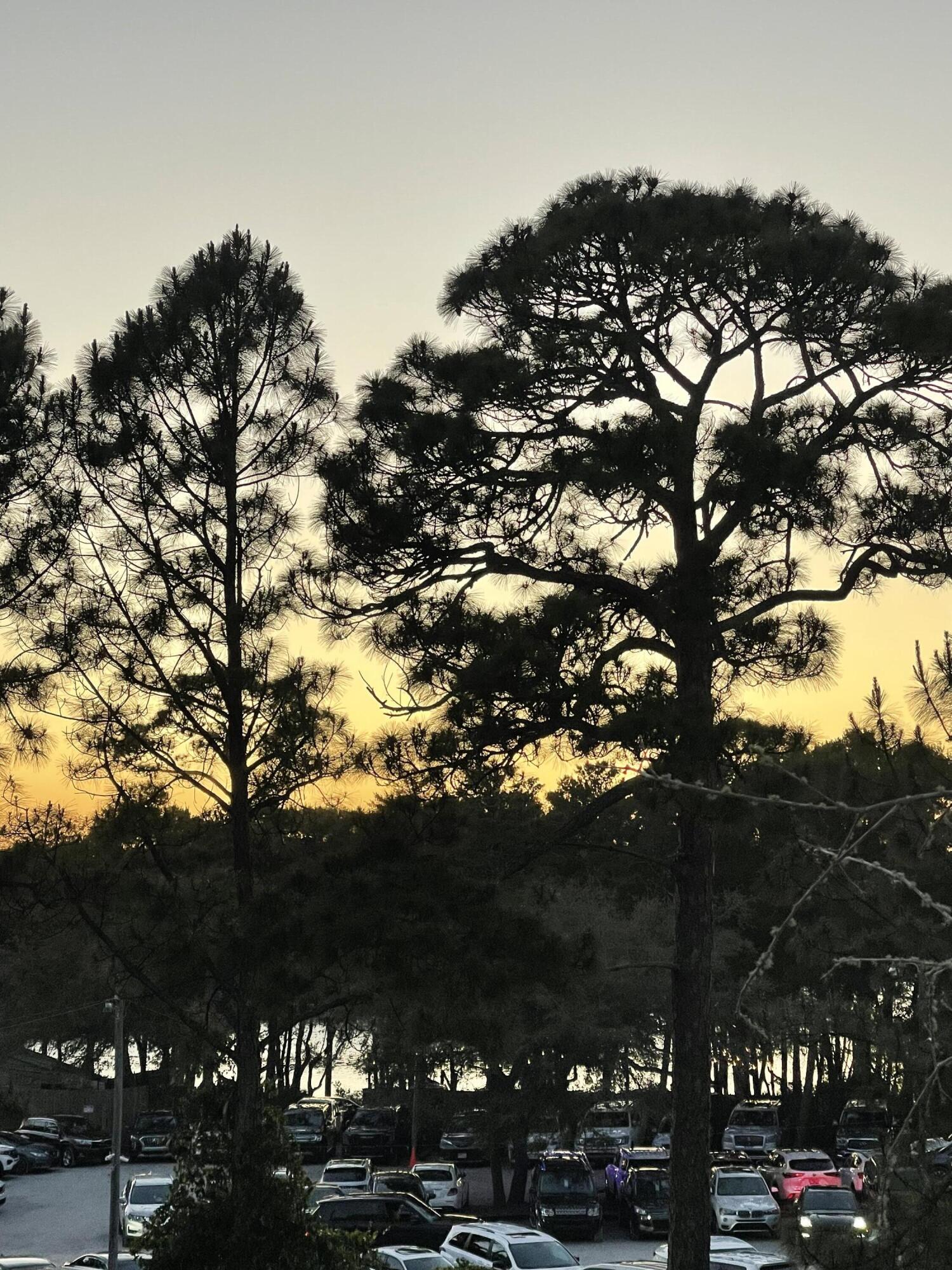 34 Heron's Watch Way, Unit 2304 Santa Rosa Beach, FL 32459 - Photo 48 of 56 IMG_2912