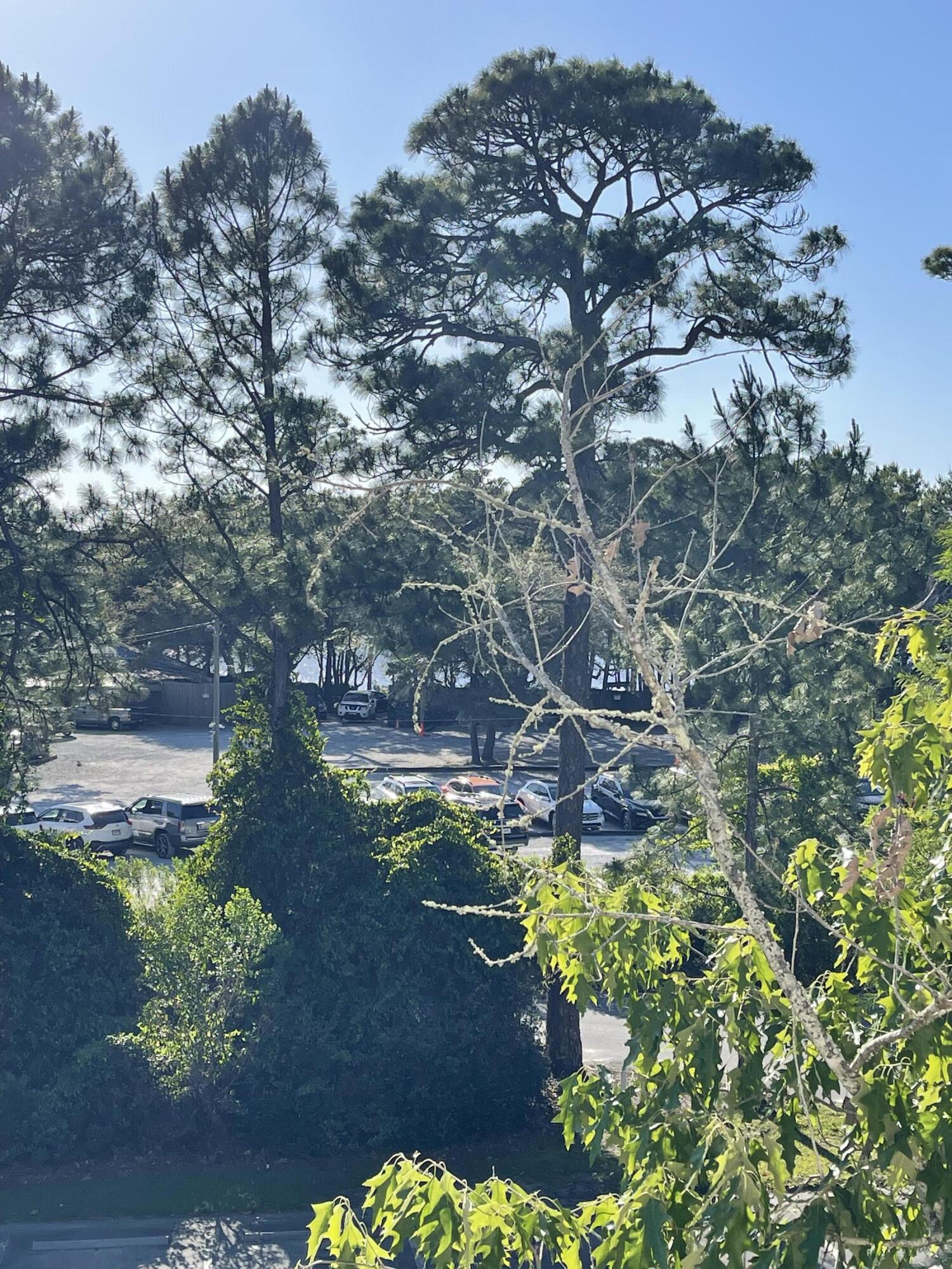 34 Heron's Watch Way, Unit 2304 Santa Rosa Beach, FL 32459 - Photo 49 of 56 IMG_2910