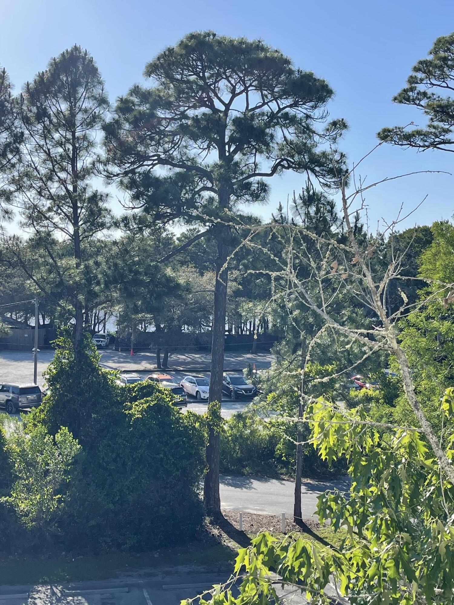 34 Heron's Watch Way, Unit 2304 Santa Rosa Beach, FL 32459 - Photo 50 of 56 a backyard of a house with lots of green space
