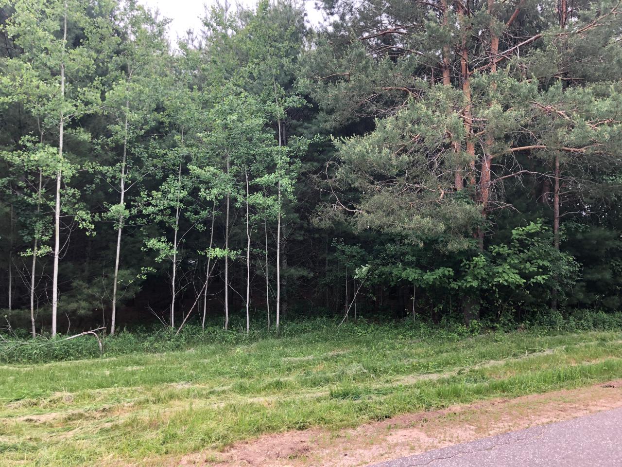 Three Bonack Loop, Unit LOT 16 Three Lakes, WI 54562 - Photo 2 of 4 Gallery Image 2
