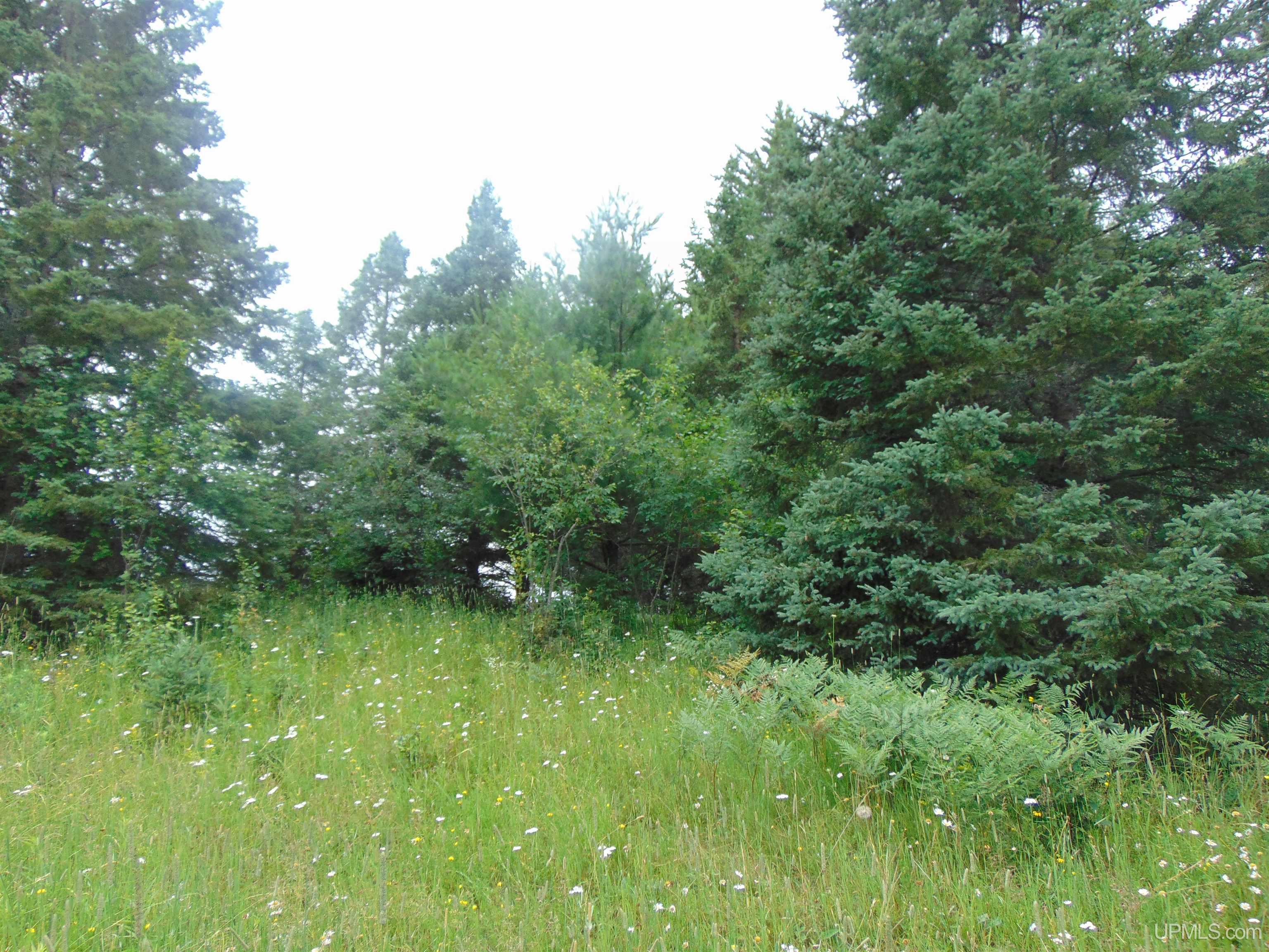 15 Grenlund Road Bruce Crossing, MI 49912 - Photo 15 of 18