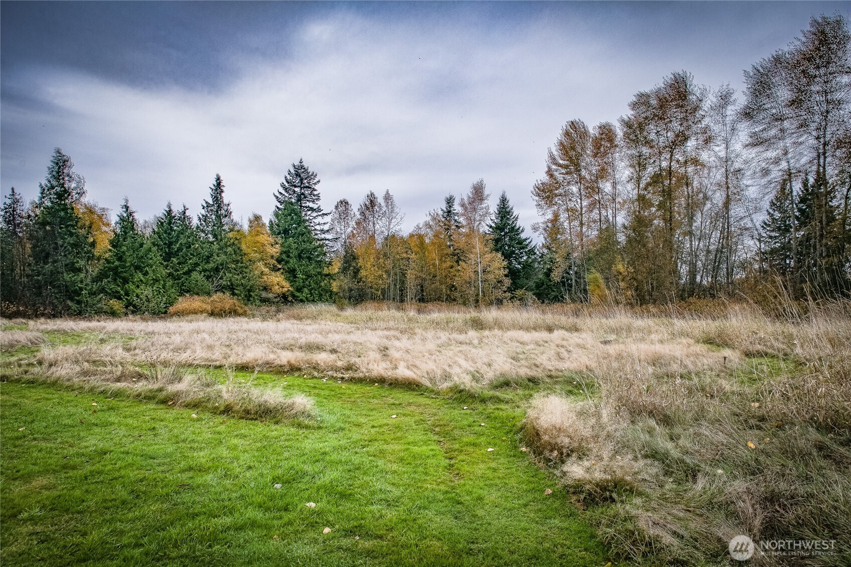3496 Birch Bay Lynden Road Custer, WA 98240 - Photo 6 of 24 a view of outdoor space with trees all around
