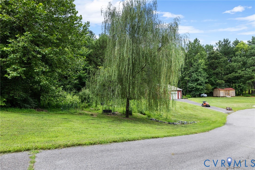 15220 River Road Chesterfield, VA 23838 - Photo 51 of 65 Expansive green lawn featuring a large mature will