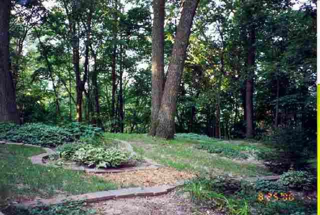 6349 Scenic Bluff Road Thomson, IL 61285 - Photo 8 of 9 Gallery Image 8