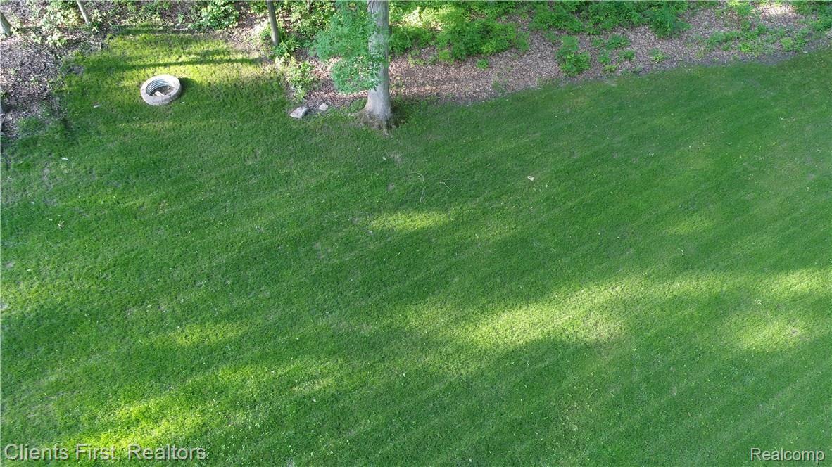 8175 Ridge Road North Canton, MI 48187 - Photo 23 of 70 Outside - Front Yard 8.JPG