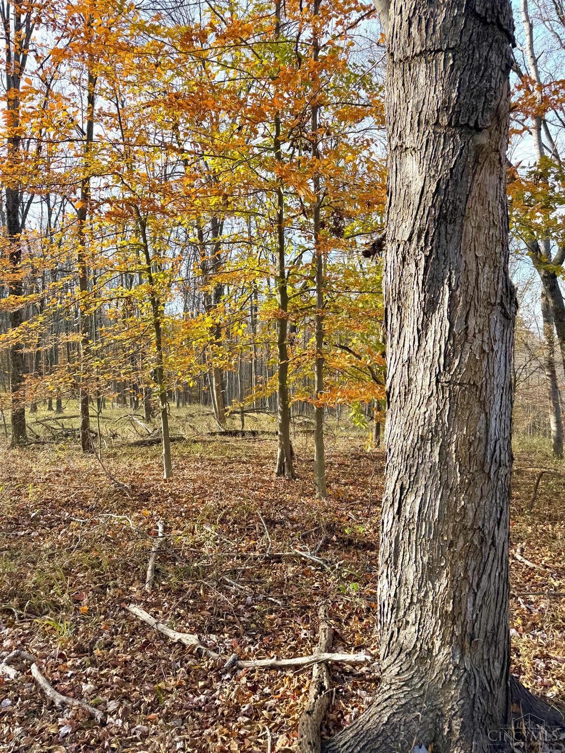 0 South Chenoweth Fork Road Piketon, OH 45661 - Photo 44 of 95