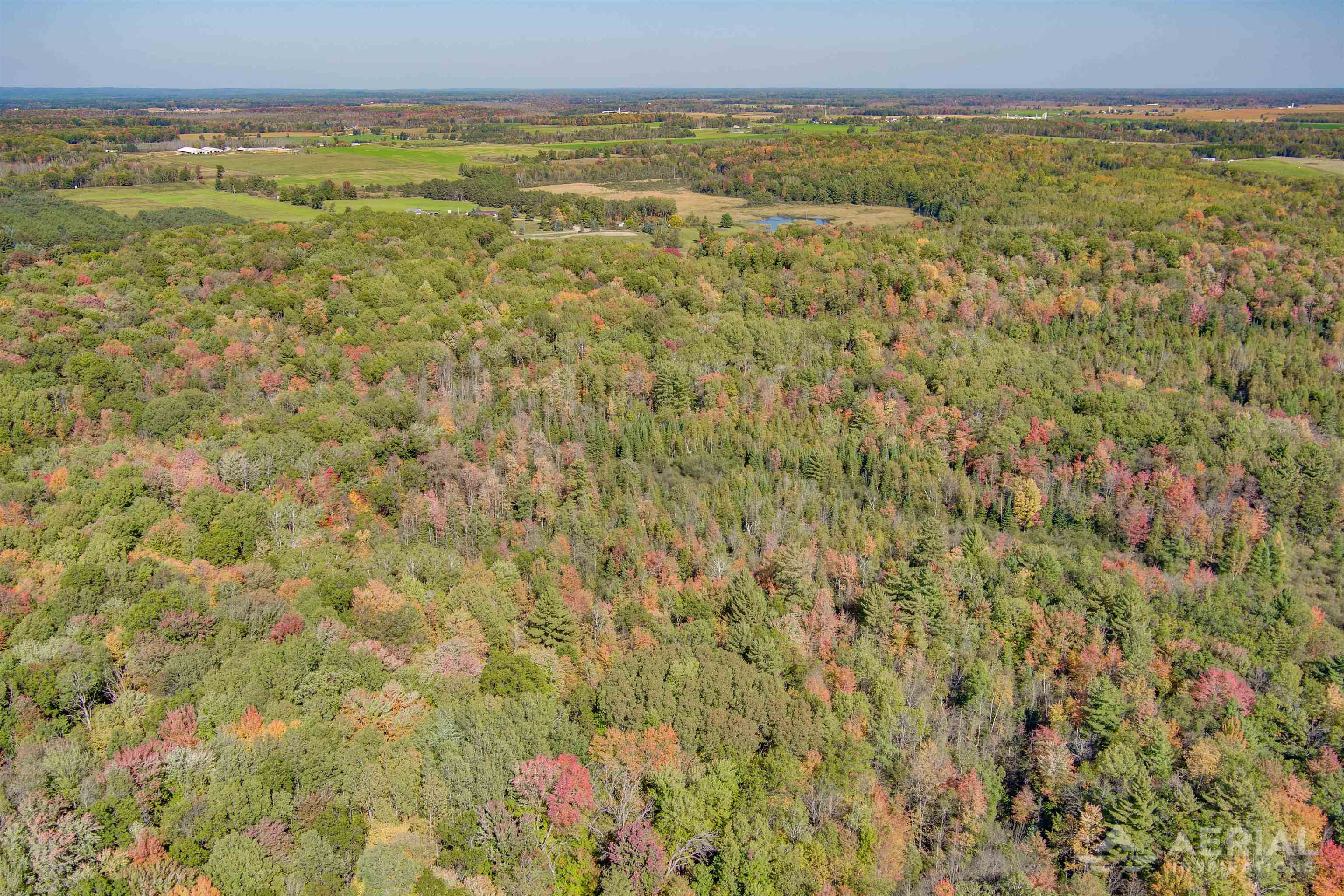 0 Peterson Road West Branch, MI 48661 - Photo 6 of 10 1916374-5.JPG