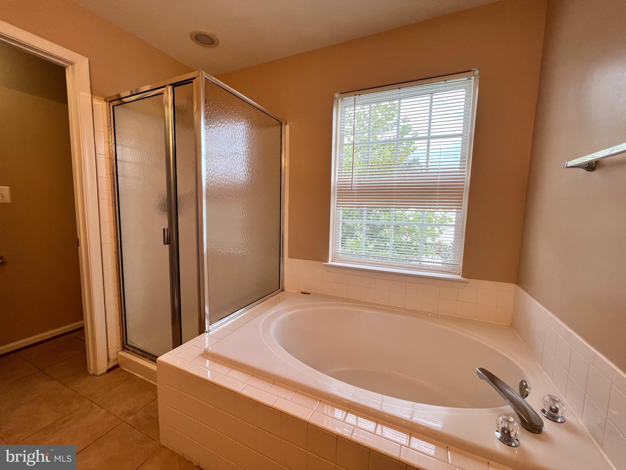 10168 Elgin Way Bristow, VA 20136 - Photo 17 of 37 Sep Shower /Tub