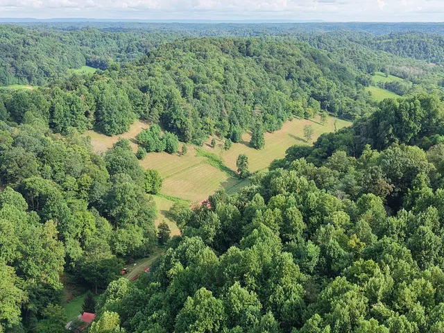 an aerial view of residential house with outdoor space and trees all around