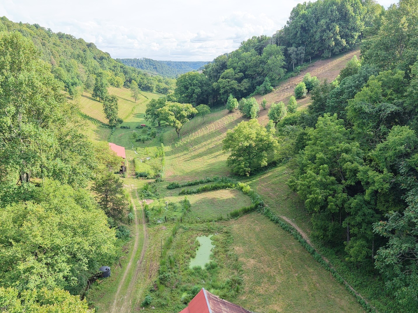 546 Womack Hollow Road Liberty, TN 37095 - Photo 13 of 43 a view of a forest with a street