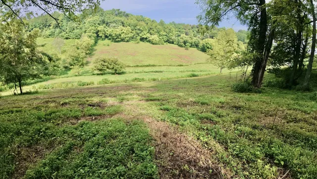 a view of beach and yard
