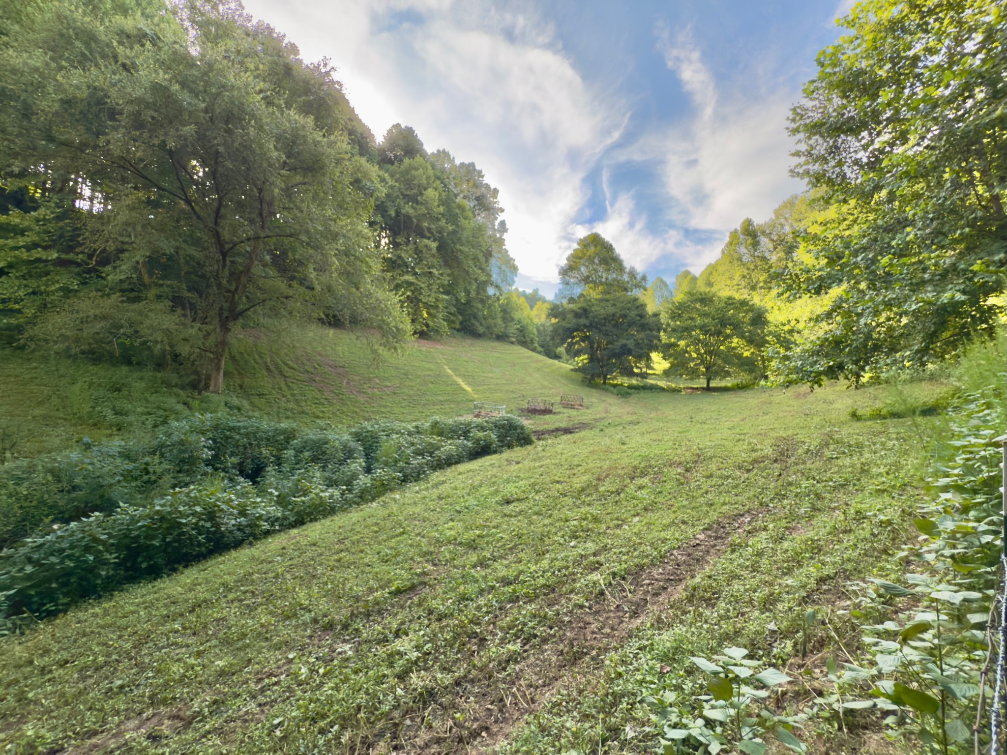 546 Womack Hollow Road Liberty, TN 37095 - Photo 15 of 43 a big yard with lots of green space and bushes