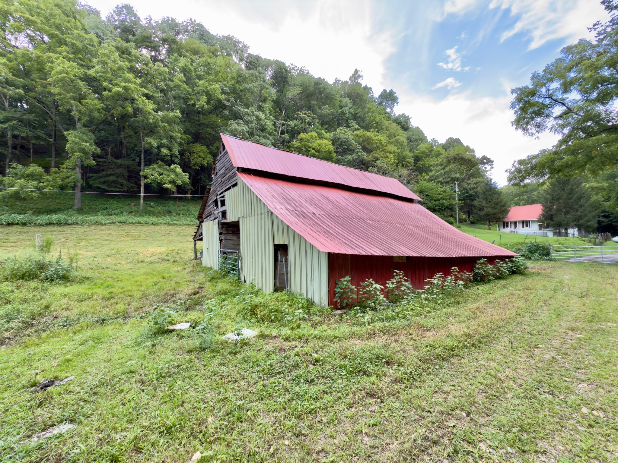 546 Womack Hollow Road Liberty, TN 37095 - Photo 16 of 43 a view of a house with a big yard plants and large trees