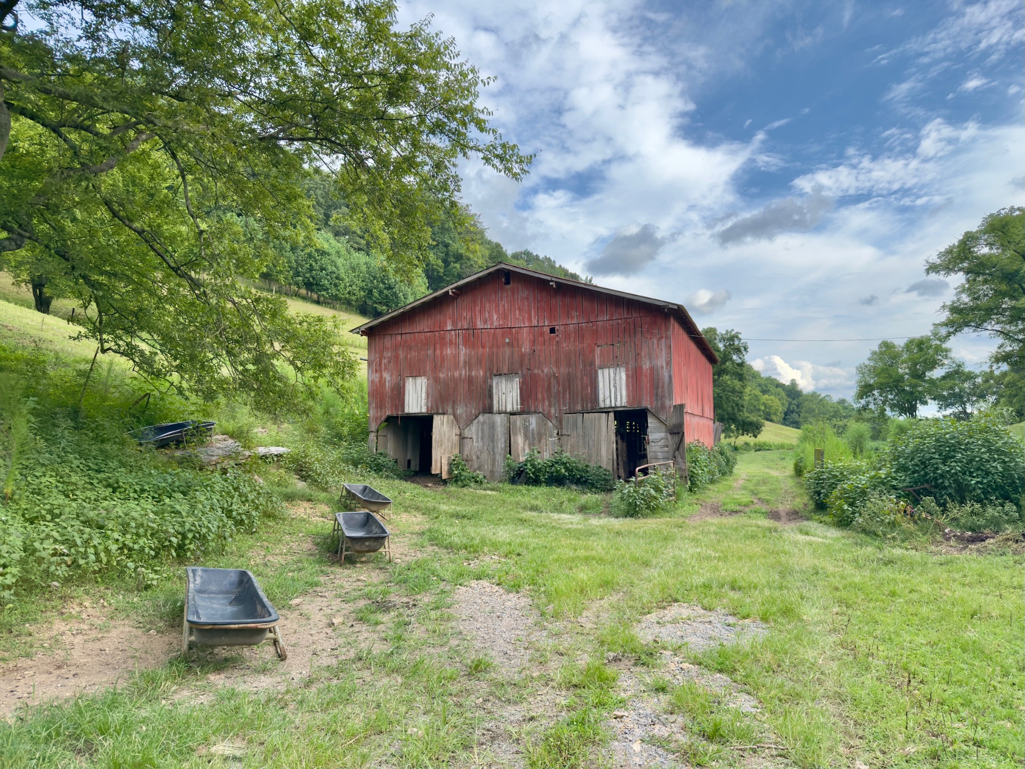 546 Womack Hollow Road Liberty, TN 37095 - Photo 17 of 43 a view of a house with yard and a garden