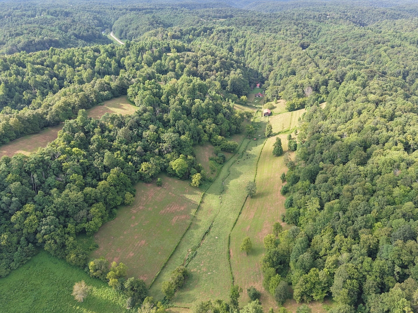 546 Womack Hollow Road Liberty, TN 37095 - Photo 2 of 43 a aerial view of a yard