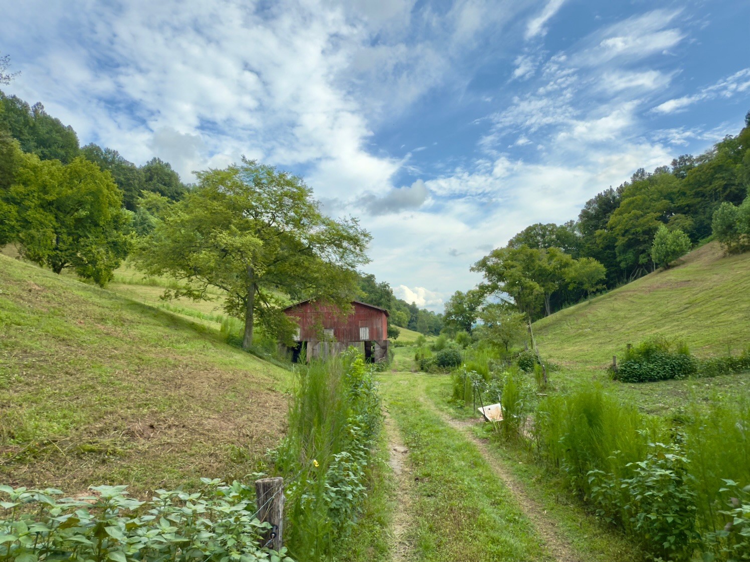 546 Womack Hollow Road Liberty, TN 37095 - Photo 21 of 43