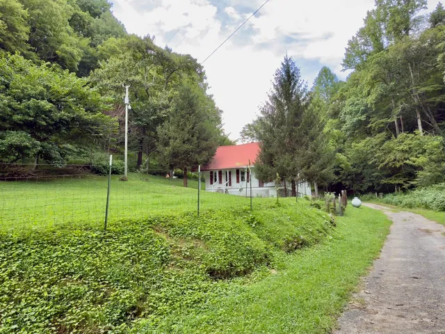 a view of a backyard