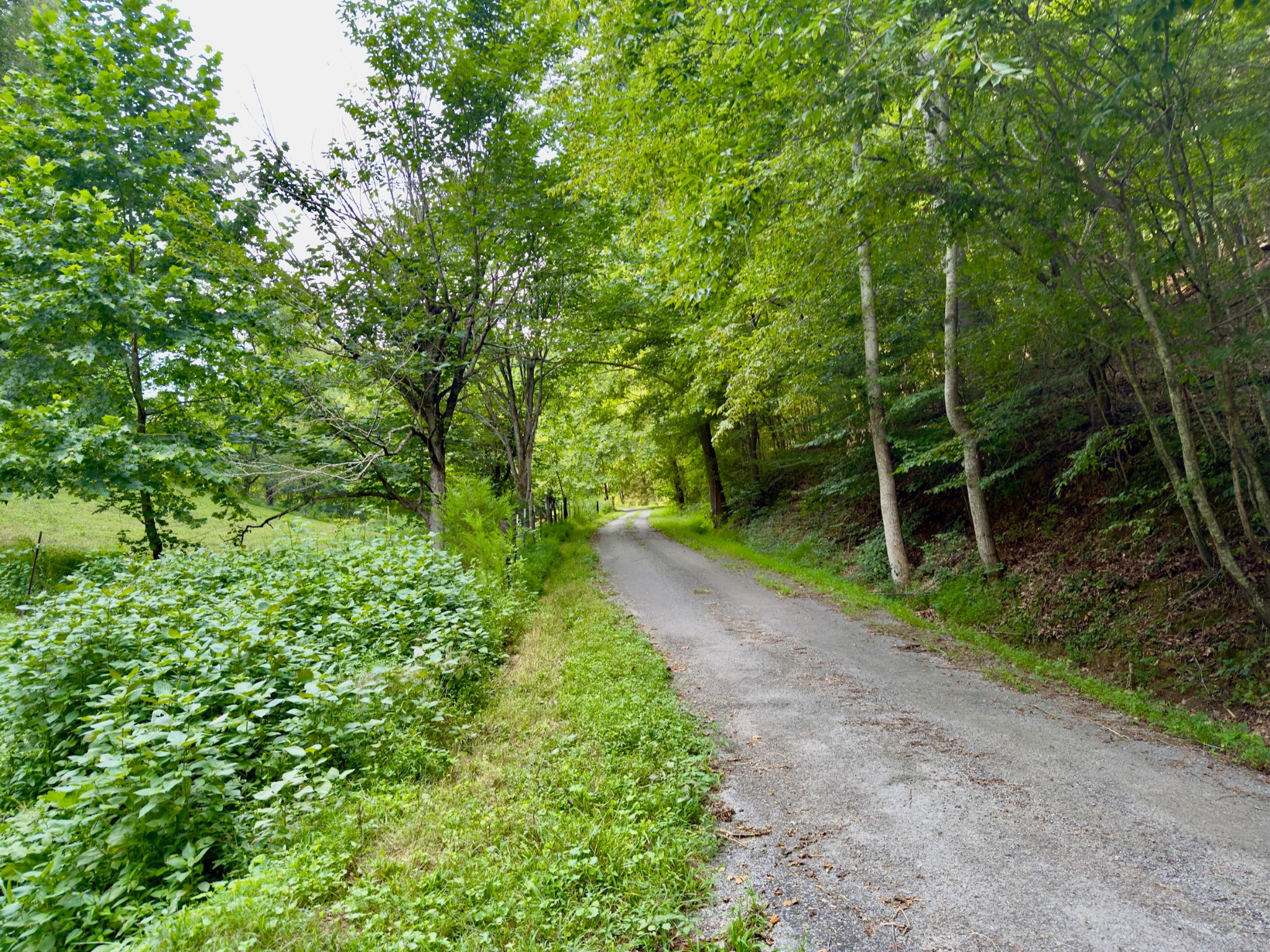 546 Womack Hollow Road Liberty, TN 37095 - Photo 24 of 43 a view of a backyard