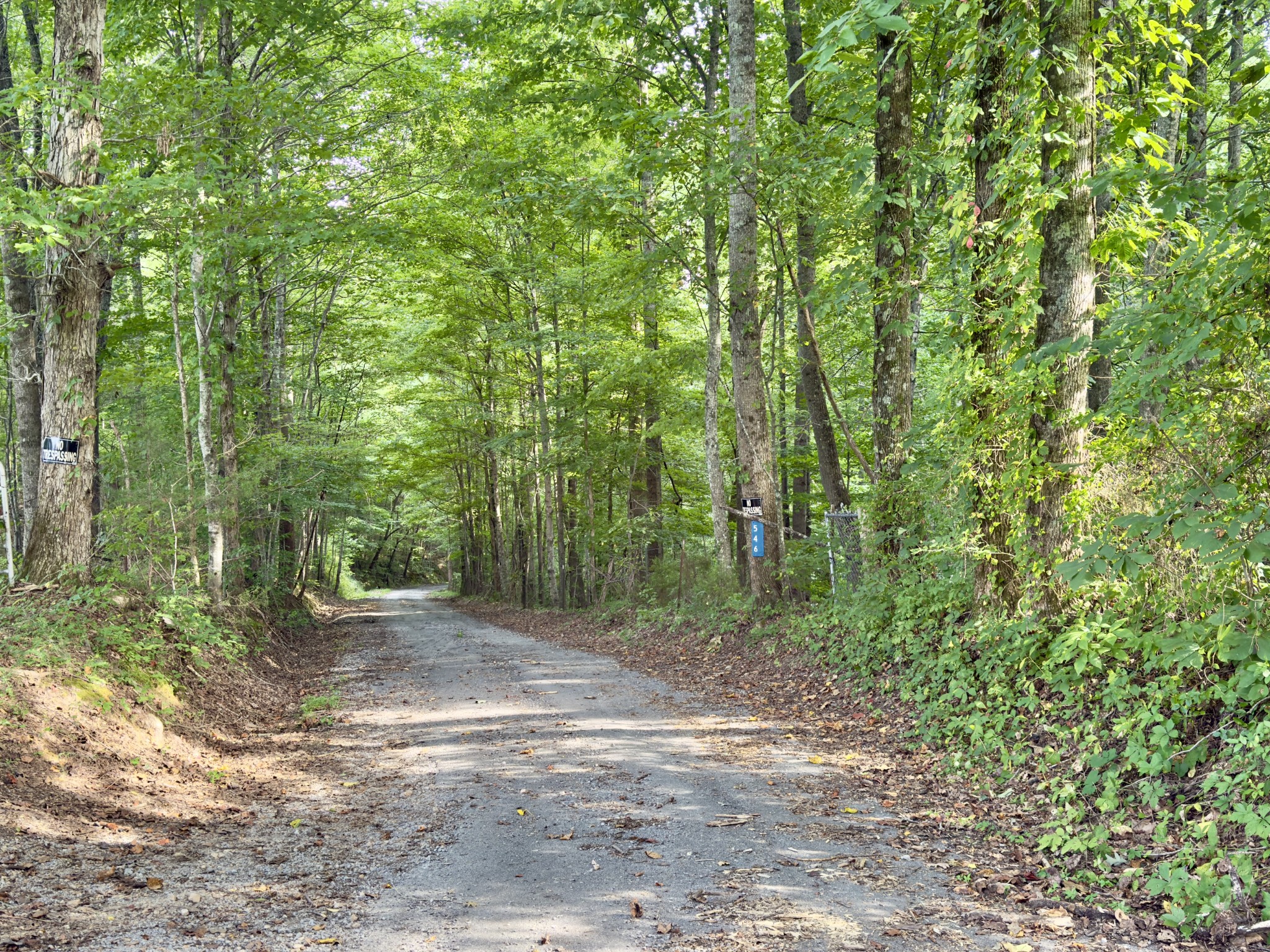 546 Womack Hollow Road Liberty, TN 37095 - Photo 25 of 43 a view of a forest with trees in the background