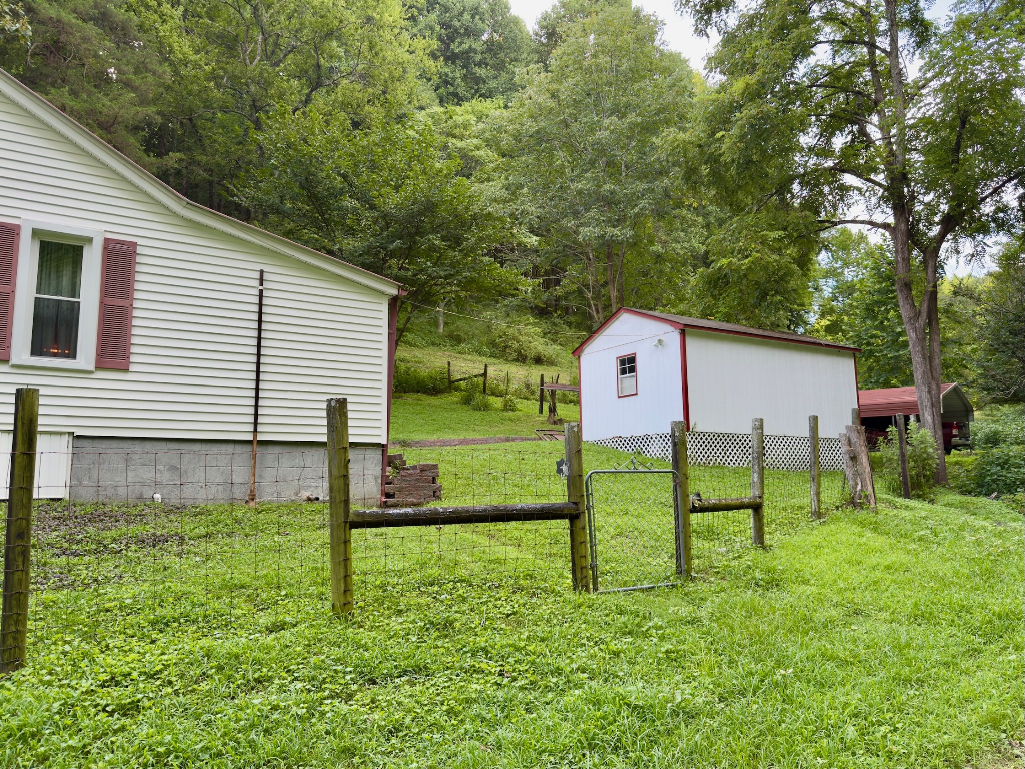 546 Womack Hollow Road Liberty, TN 37095 - Photo 37 of 43 a backyard of a house with table and chairs