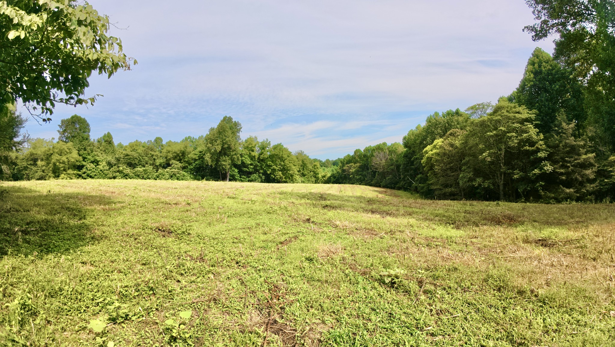 546 Womack Hollow Road Liberty, TN 37095 - Photo 38 of 43 a view of an outdoor space and a yard