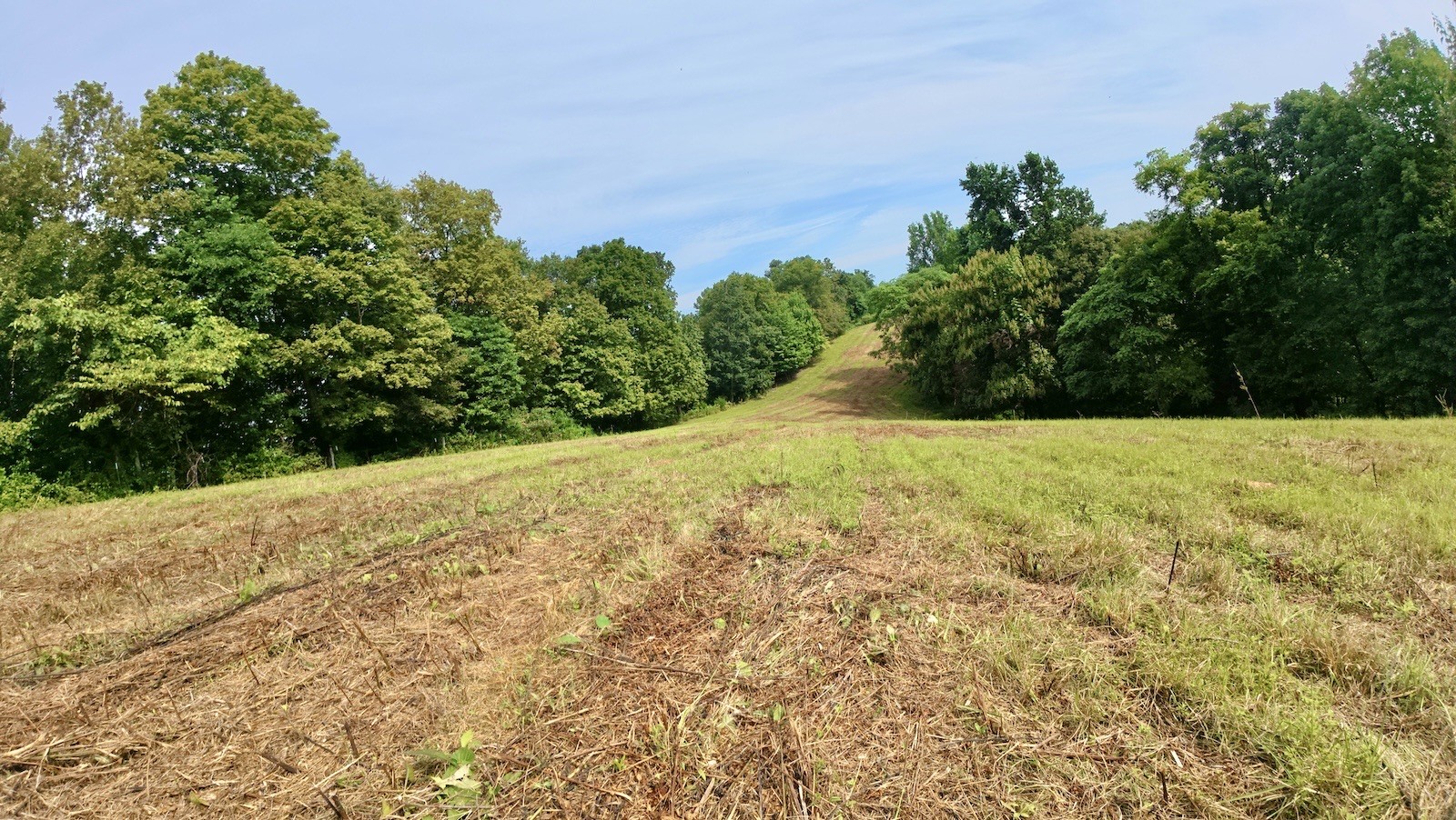 546 Womack Hollow Road Liberty, TN 37095 - Photo 39 of 43 a view of outdoor space and yard