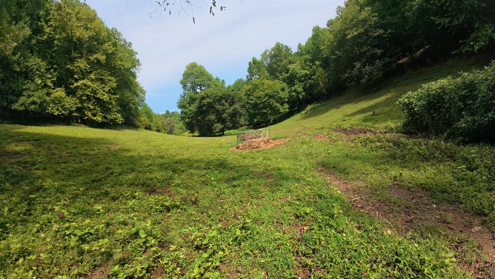 546 Womack Hollow Road Liberty, TN 37095 - Photo 40 of 43 a view of outdoor space and yard