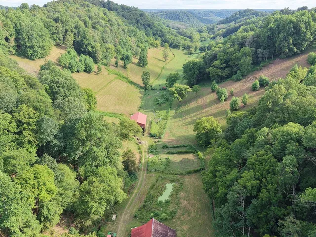 an aerial view of residential houses with outdoor space and trees all around