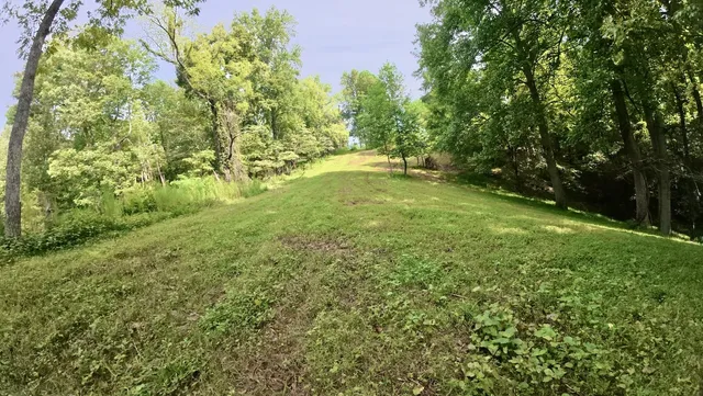 a view of a yard with trees in the background