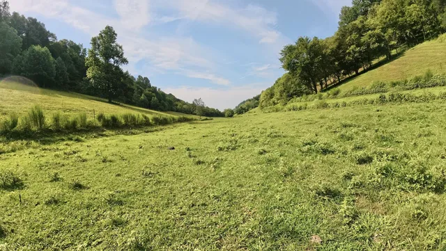 $1,200,000 | 546 Womack Hollow Road, Liberty, TN 37095