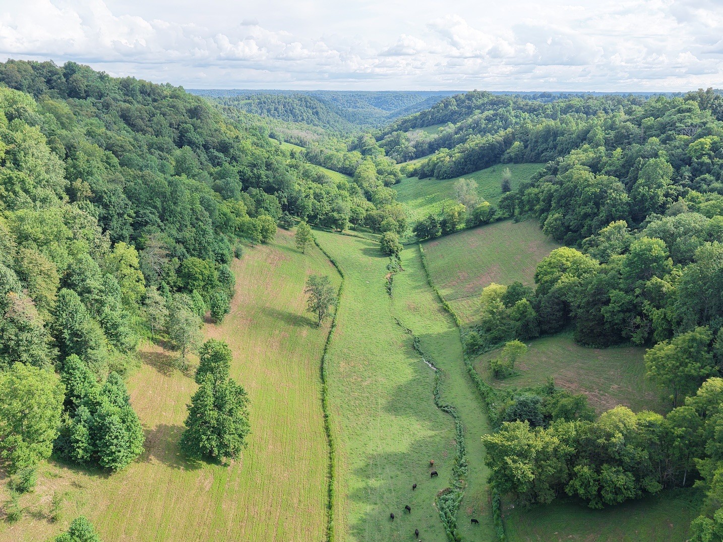 546 Womack Hollow Road Liberty, TN 37095 - Photo 6 of 43 an aerial view of a residential houses with outdoor space and trees all around