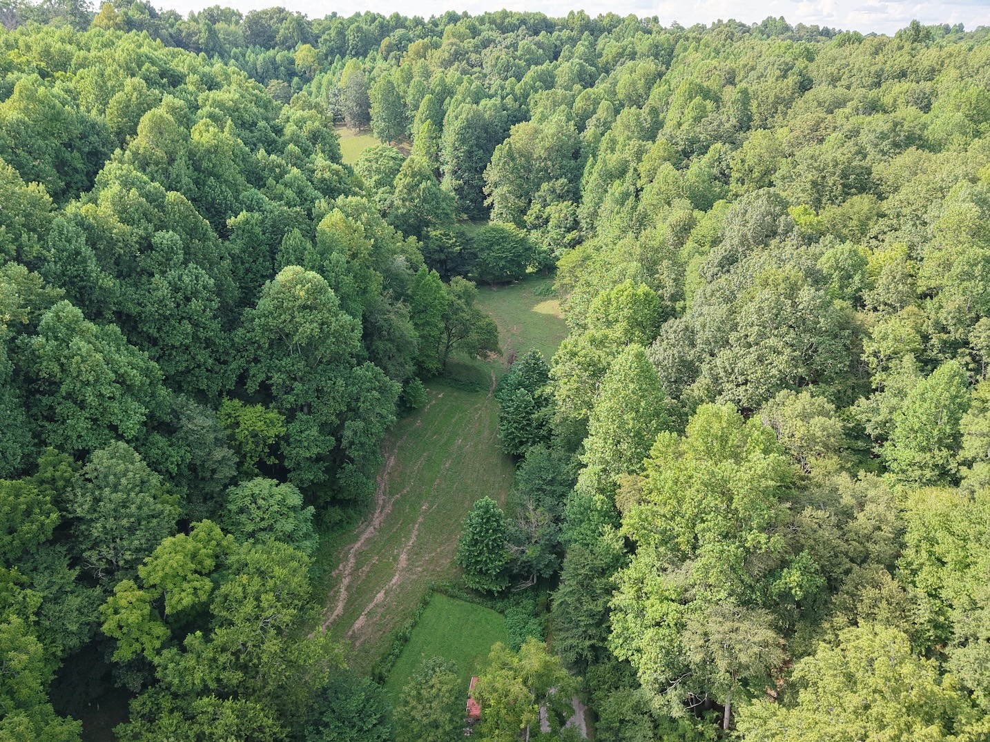 546 Womack Hollow Road Liberty, TN 37095 - Photo 10 of 43 an aerial view of residential house with outdoor space and trees all around