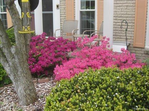 1057 Hackberry Circle Rochester, MI 48309 - Photo 17 of 17 Azalea's.jpg
