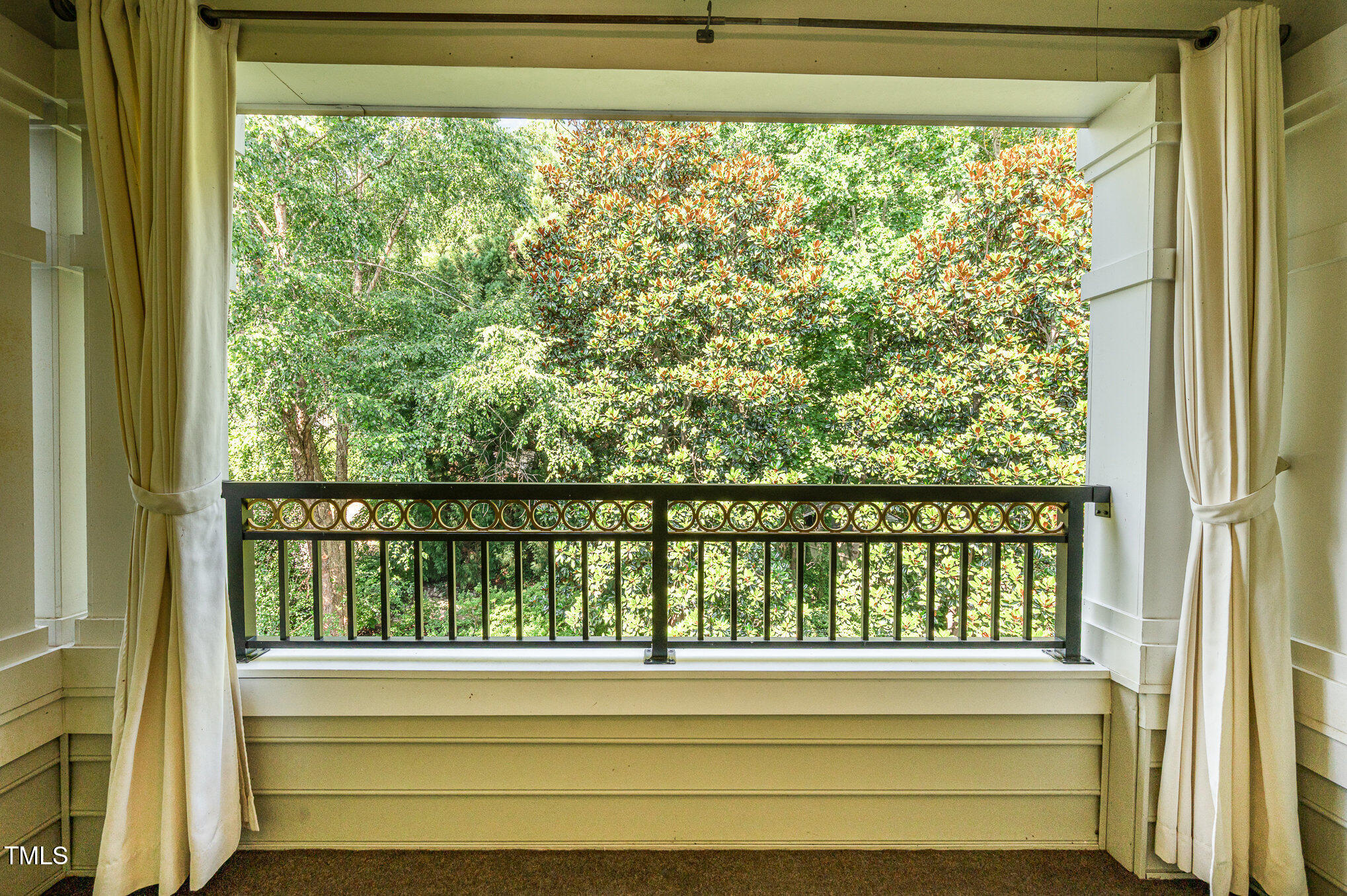 3701 Baron Cooper Pass, Unit 303 Raleigh, NC 27612 - Photo 12 of 19 Lovely private view from the spacious balony