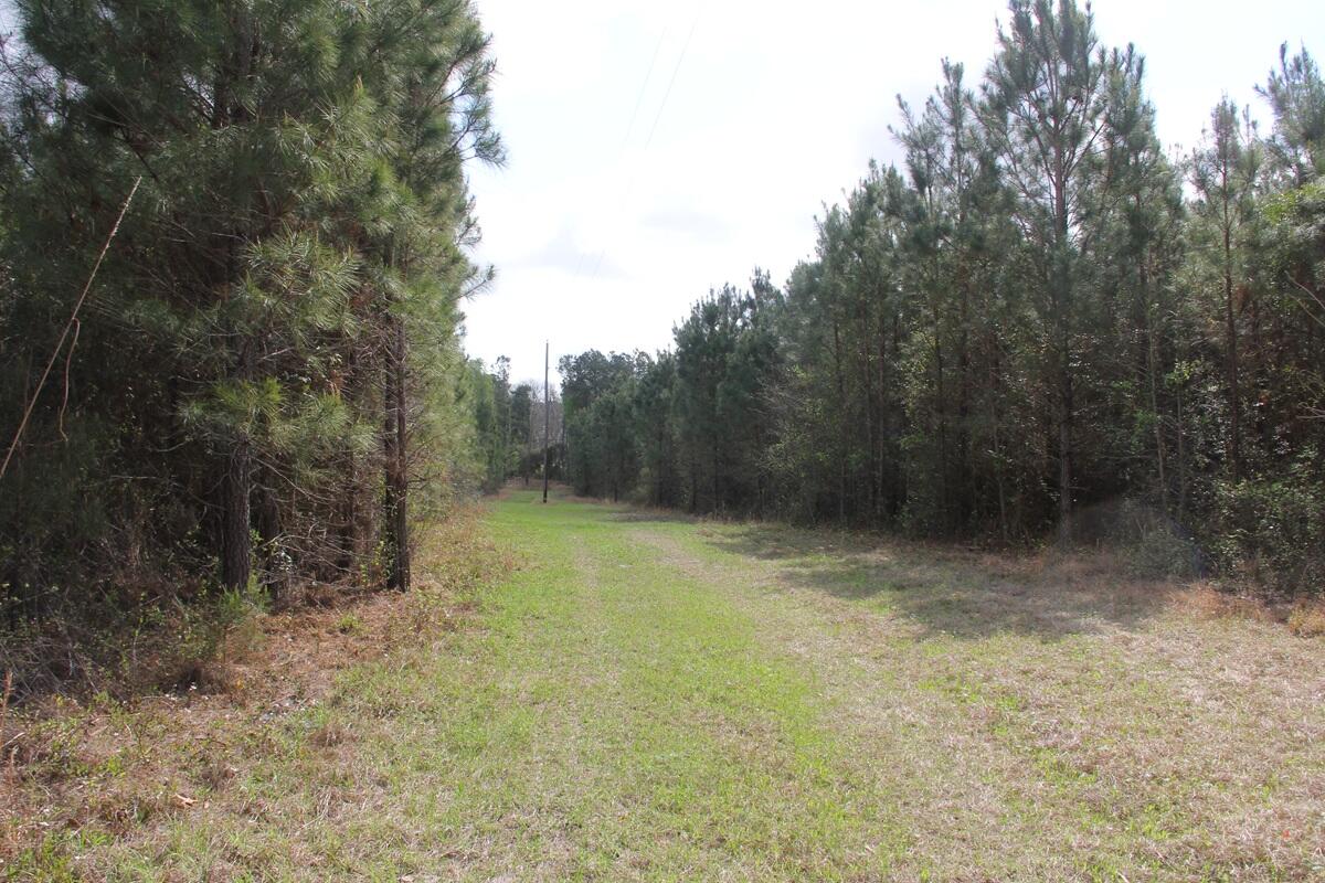 305 Ponderosa Road St. Matthews, SC 29135 - Photo 5 of 19 IMG_9889