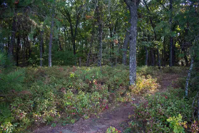 $59,900 | N7109 Timber Rdg Lane, Mauston, WI 53948