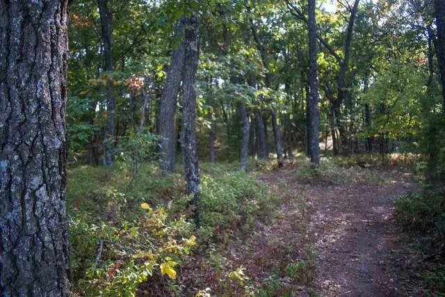 $59,900 | N7109 Timber Rdg Lane, Mauston, WI 53948