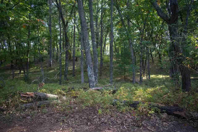 $59,900 | N7109 Timber Rdg Lane, Mauston, WI 53948