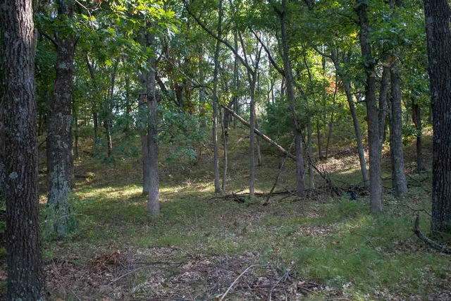 $59,900 | N7109 Timber Rdg Lane, Mauston, WI 53948