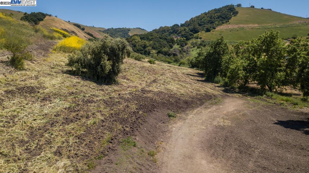 12780 Clayton Road San Jose, CA 95127 - Photo 9 of 12 a view of a yard with a mountain