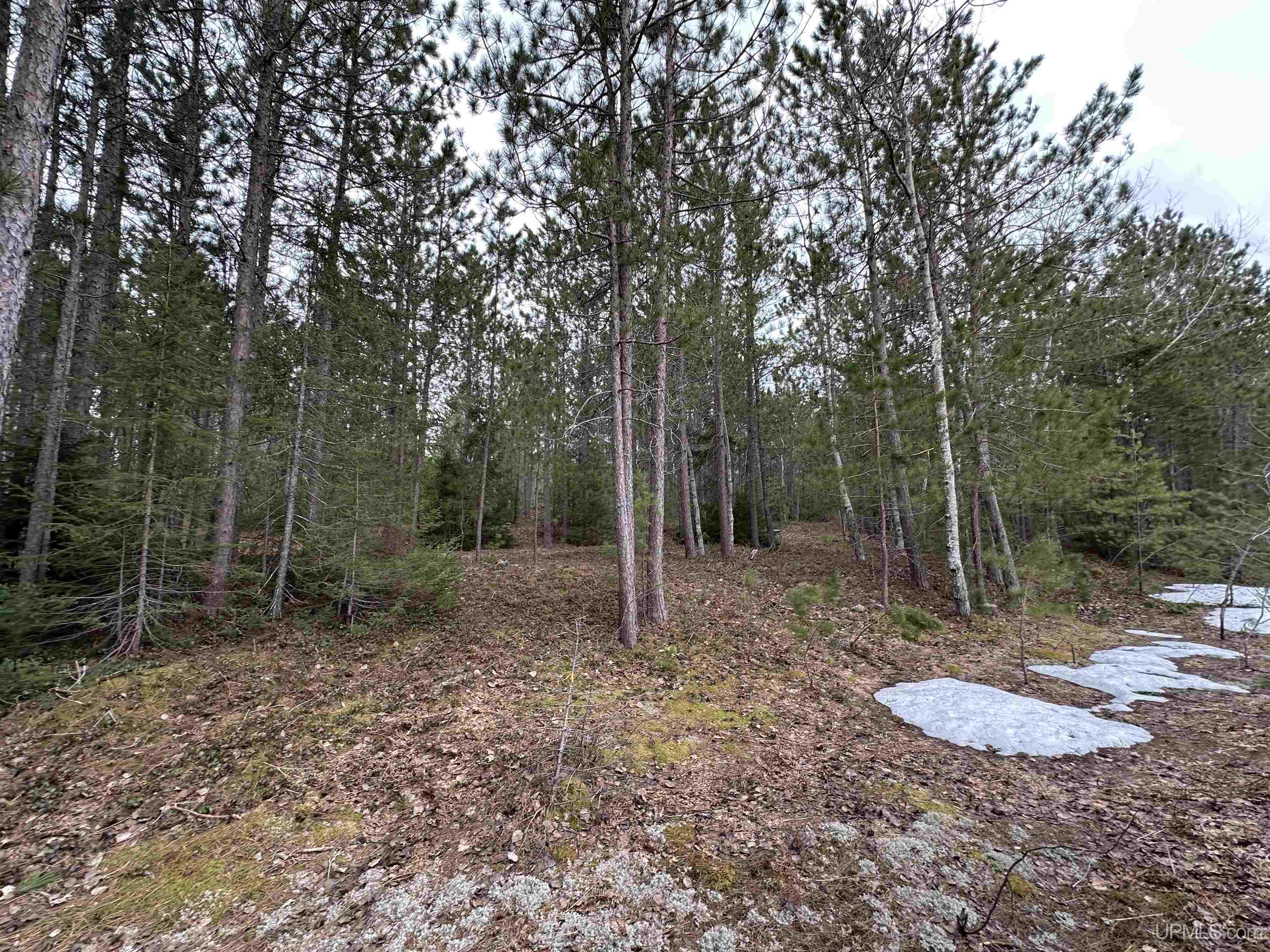 M28 E Road Marquette, MI 49855 - Photo 9 of 15